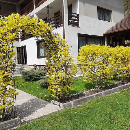 Pensiunea La Rachitele Εξωτερικό φωτογραφία